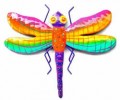 Exotic Dragonfly