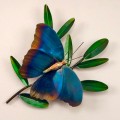 Blue Morpho