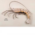 Rustic Beach House Shrimp Wall