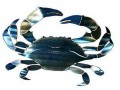 3D Crab Metal Wall Art