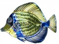 3D Blue Angelfish Metal Wall Art