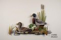 Duck Family