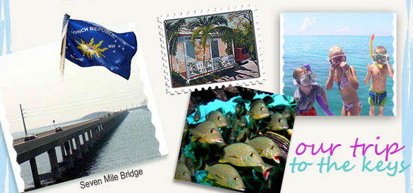 shell decor, tropical decor, beach decor, caribbean decor, nautical decor