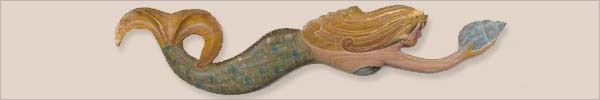 shell decor, tropical decor, beach decor, caribbean decor, nautical decor