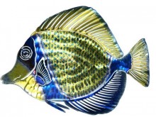 3D Blue Angelfish Metal Wall Art